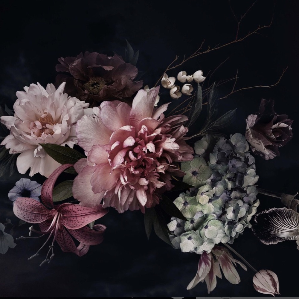 Meet your Posher, Laura